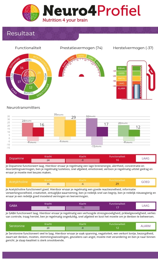 Voorbeeld Neuro4Profiel test