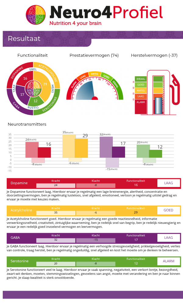 Neuro4profiel test voorbeeld